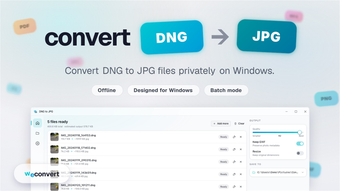 Image 0 for DNG to JPG