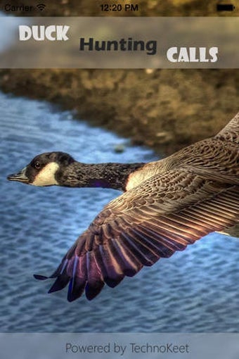 Image 0 for Easy Duck Hunting Calls -…