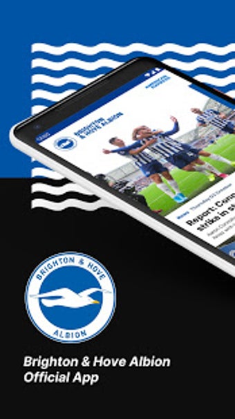 Image 0 for Brighton & Hove Albion FC…