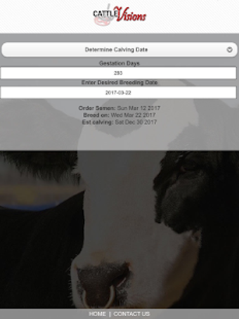 Image 3 for Cattle Visions