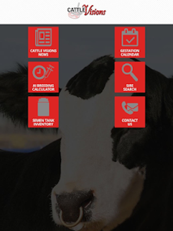 Image 1 for Cattle Visions