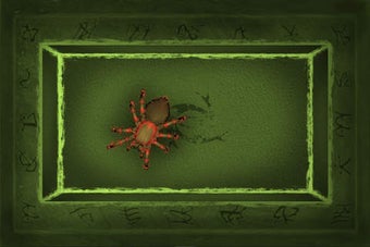 Imagen 0 para Tarantula Hologram HD
