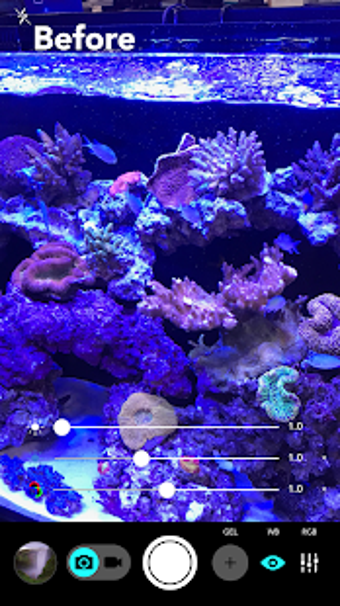 Imagen 0 para Aquarium Camera