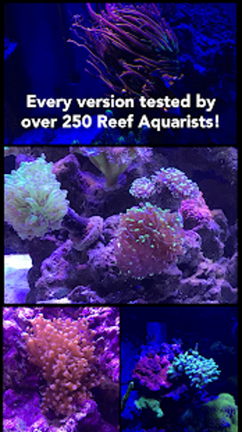 Imagen 3 para Aquarium Camera