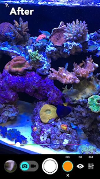 Imagen 2 para Aquarium Camera