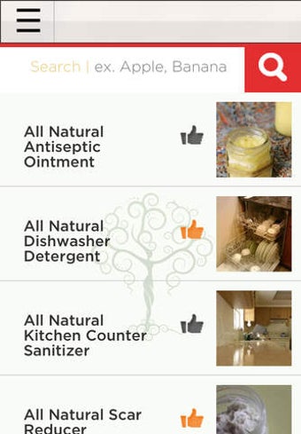 Imagen 0 para Natural Goddess DIY Homem…