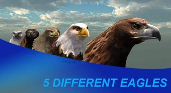 Imagen 1 para Eagle Hunting Journey (Ea…