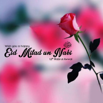 Image 3 for Milad-un-nabi