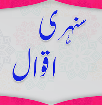 Image 1 for Sunehri Batain Urdu Aqwal…