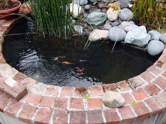 Image 1 for Fish Pond Design