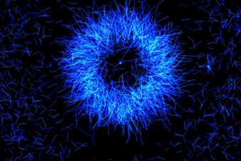 Image 1 for Delirium Free music visua…