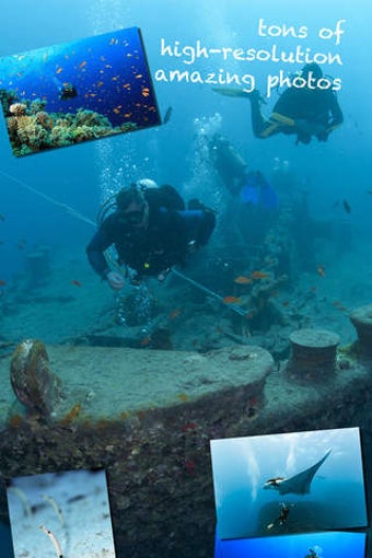 Image 0 for Scuba Diving World