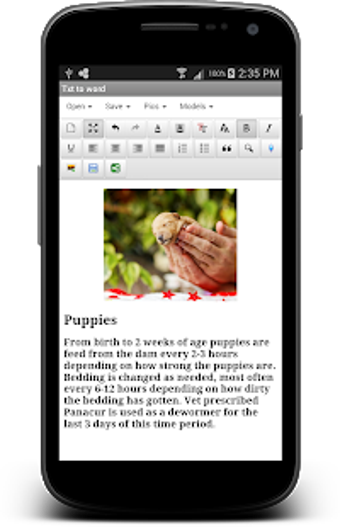 Imagen 2 para txt to word