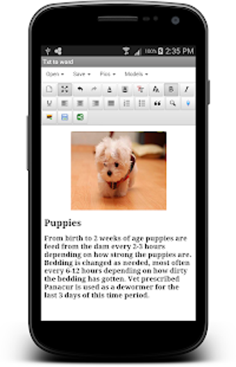 Imagen 3 para txt to word