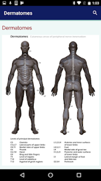 Image 1 for Neurosurgery Survival Gui…