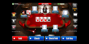 Imagen 3 para Perfect Poker