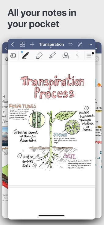 Image 2 for GoodNotes 5