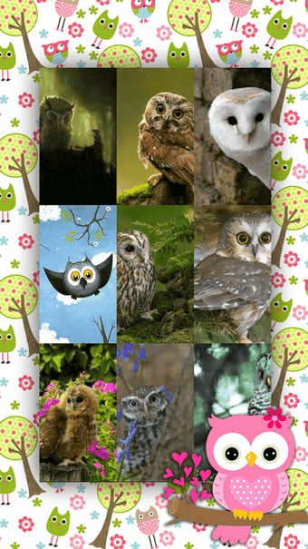 Imagen 2 para Cute Owl Wallpapers