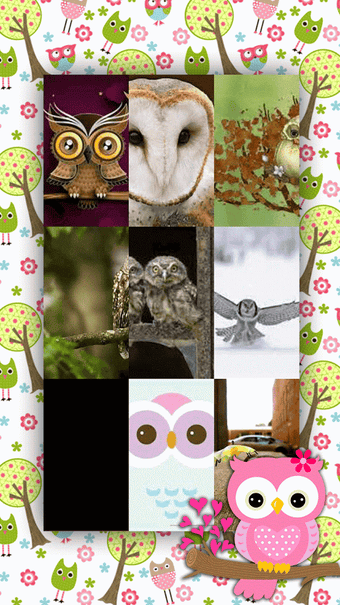 Imagen 1 para Cute Owl Wallpapers