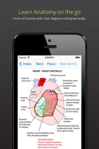 Image 0 for Anatomy Lectures and MCQs