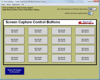 Image 1 for Word Screen Capture