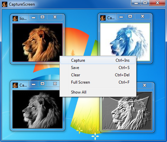 Imagen 0 para CaptureScreen