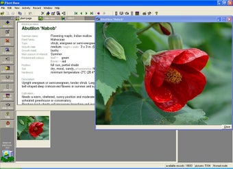 Image 0 for Deeproot Plant Base