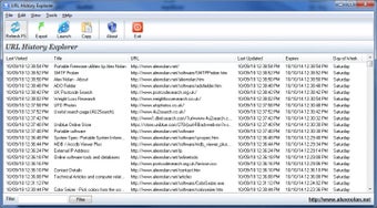 Image 0 for URL History Explorer