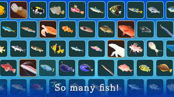 Image 1 for Pocket Aquarium Pockerium…