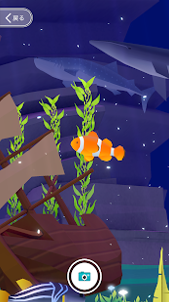 Image 0 for Pocket Aquarium Pockerium…