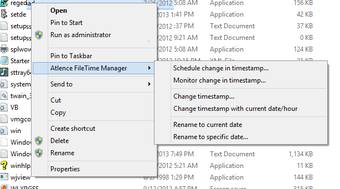 Imagen 1 para Atlence FileTime Manager