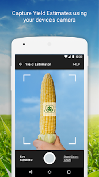 Image 2 for Pioneer Seeds