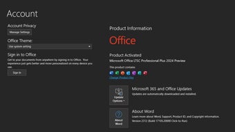 Microsoft Office 2024 Display Captures 1