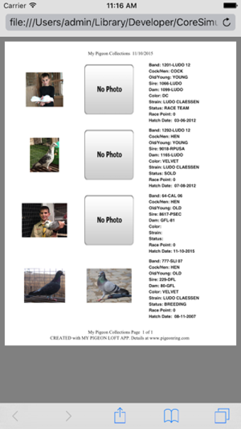 Imagen 2 para My Pigeon Loft Cloud Edit…
