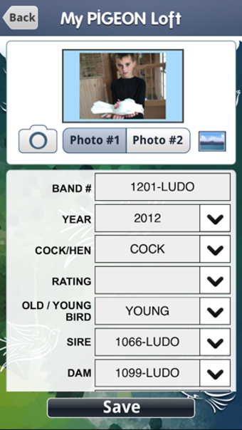 Imagen 3 para My Pigeon Loft Cloud Edit…
