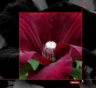 Image 0 for SPX Instant Screen Captur…