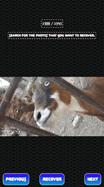 Image 0 for Deleted Photo Recovery