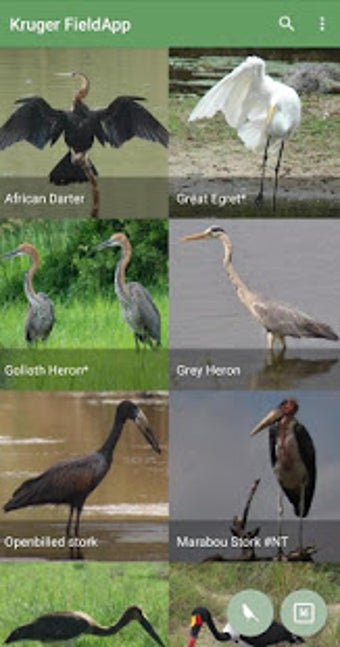 Image 1 for Kruger National Park Fiel…