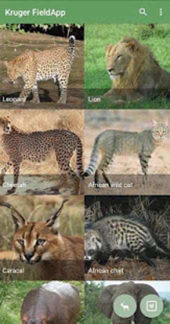 Imagen 0 para Kruger National Park Fiel…