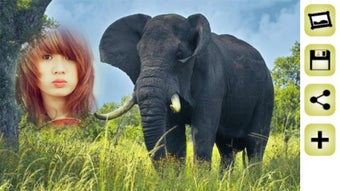 Imagen 1 para Wildlife Animal Photo Fra…