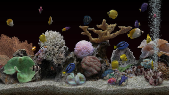 Imagen 2 para Marine Aquarium 3.3 PRO