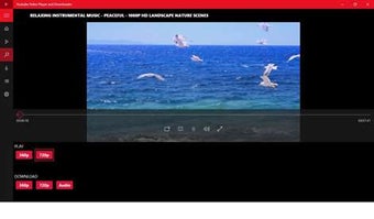 Image 0 for Video Player and Download…