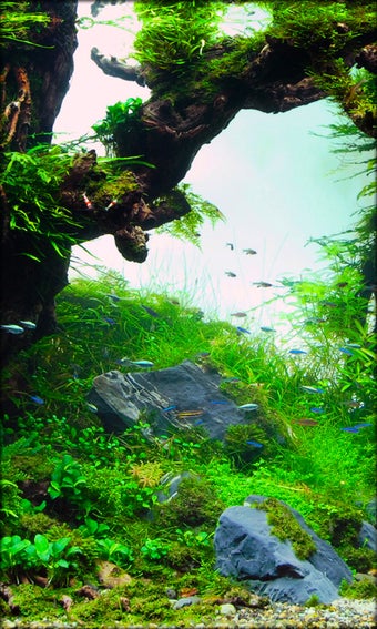 Imagen 1 para Aquarium Live Wallpaper