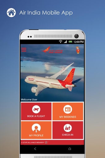 Image 0 for Air India