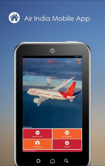 Image 1 for Air India