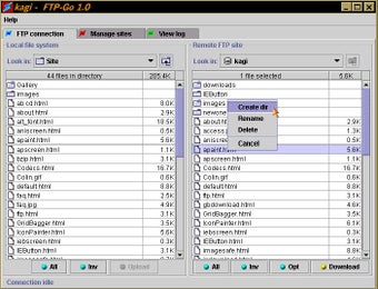 Image 0 for FTP-Go