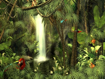 Imagen 0 para Rain Forest Adventure