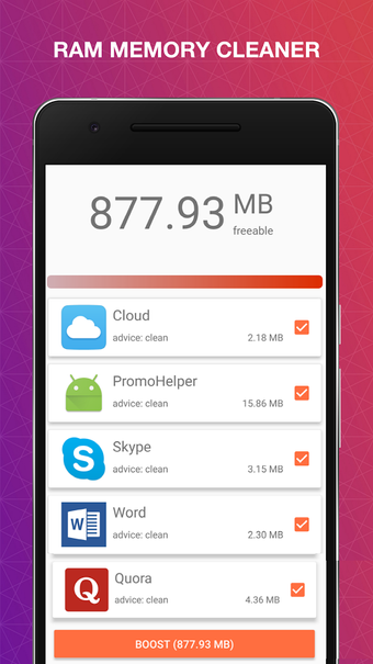 Image 1 for Rapid Cleaner Pro