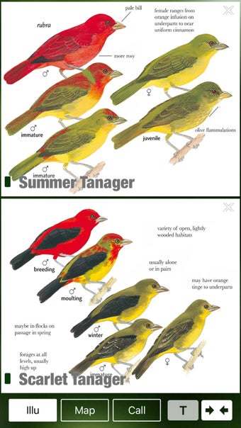 Image 1 for All Birds Trinidad and To…