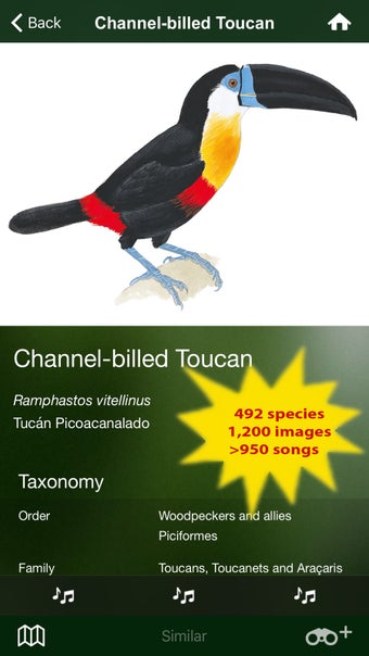 Image 2 for All Birds Trinidad and To…